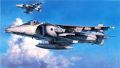 Hasegawa 1/48 Harrier GR Mk.7 "Royal Air Force"