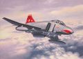 Revell 1/48 British Phantom FGR Mk.2