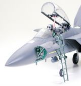 Tamiya 1/32 F-15E Strike Eagle with Bunker Buster