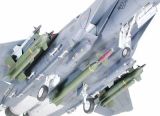 Tamiya 1/32 F-15E Strike Eagle with Bunker Buster