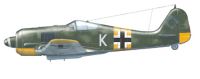 Eduard 1/48 Focke-Wulf Fw 190A JG54 Grunherz Dual Combo
