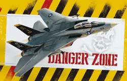 Eduard 1/48 F-14A Tomcat "Danger Zone"