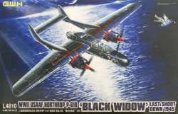Great Wall Hobby 1/48 Northrop P-61B Black Widow "Last Shoot Down 1945"