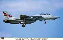 Hasegawa 1/48 F-14A Tomcat "VF-154 Black Knights History"
