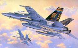 Hasegawa 1/48 F-18C Hornet