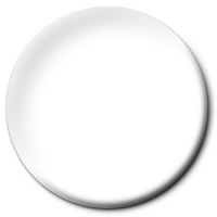 Model Master Enamel Spray Clear Flat Varnish